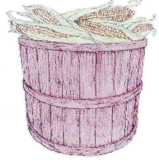 Corn Starch, Buy from Pro Corn Mills. South Africa Gauteng Company