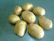 Glaxy International Trade and Commerce.Bd: Regular Seller, Supplier of: fresh potato, dry fish, bean, fresh vegetables, carrot, green chilly, lemon, 425 n cement, deformed steel bar.