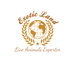 Exotic Land: Seller of: sulcata turtles, vulpes zerda, exotic reptiles, zoo animals, sand cat, uromastyx ornata, live mammals, exotic animals, monkeys. Buyer of: python, lama glama, monkey, parrot, corn snake, birds, dama dama, burmese python, tortoises radiata.