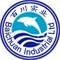 Blue-is Inc.: Seller of: anchovy, channel catfish, founder, monkfish, pollock, red fish, shrimp, salmon, tilapia. Buyer of: atlantic cod, blue whiting, haddock, hake, red drum fish.