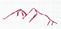 SinoHero Plastic & Electronic Co.,Ltd.