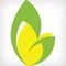 Complitsol: Seller of: software development, application development, web development, outsourcing, offshore software development company, india.