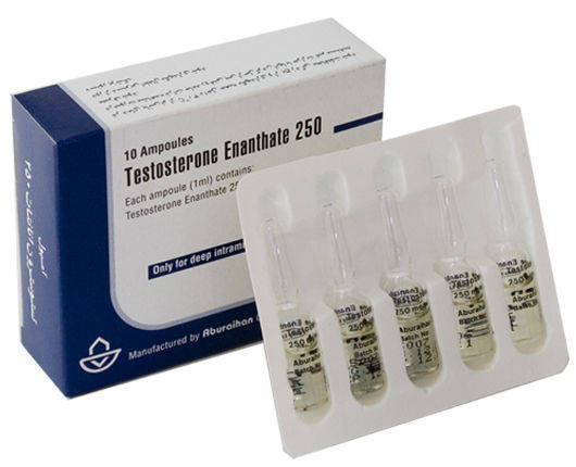 Aburaihan Testosterone Enanthate 250mg ml Buy From Tiger Labs 
