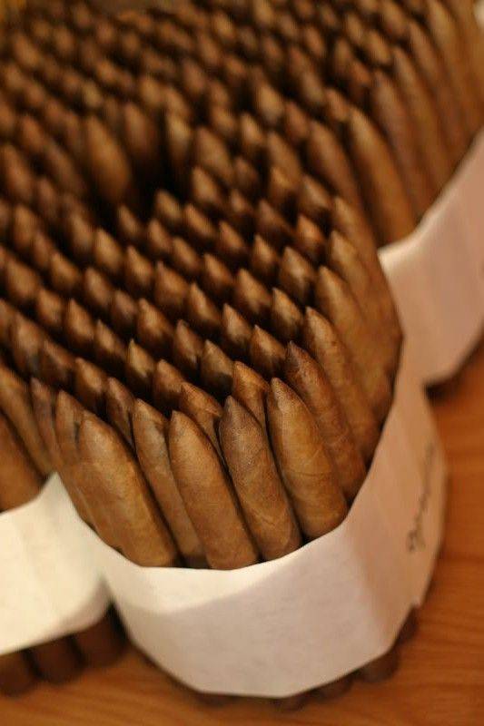 Premium Long Leaf Hand Rolled Cigars, Short Filler Cigars, Buy from