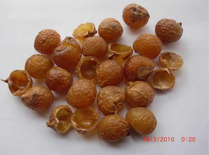 Soapnut shells, Organic Soap Nuts, Buy from National Organics Pvt.Ltd