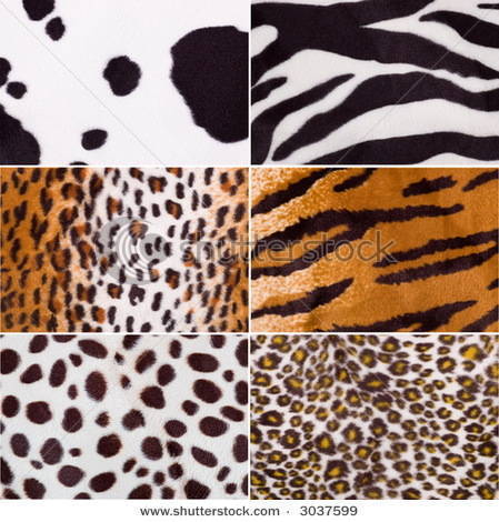 Animal Skin Hide Leather Etc, Buy from Animal Skin Trading Group. Cameroon  - Nord - B2B Marketplace  - Import Export, Business to  Business Portal, FREE Business Website, Suppliers B2B Directory