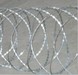 Razor barbed wire (concertina razor wire coil, barbed wire) 