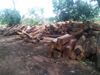 Kosso Square Logs