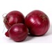 African Fresh Red Onion
