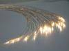 Fiberoptic Lightguides / Fiber optics