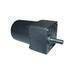 AC Gear Motor