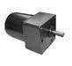 AC Gear Motor