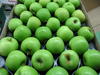 Fresh Apples Idared, Red, Golden Delicious, Muco Grany Smith