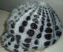 Angora Moulded Hat With Printing
