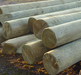 Treated wooden poles for power and telecommunication overhead lines