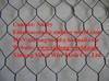 Hexagonal wire mesh