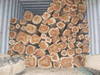 Teakwood logs