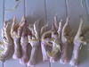 Unprocessed and processed chicken feet
