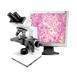 Digital LCD Microscope Model: Digi Select
