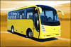 We can supply  Buses