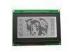 Monochrome graphic character/alphanumeric LCD module