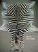 Zebra Skins, African Rugs, Real Hides and Authentic Pelts for sale