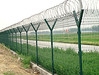 Y-shape fence with barbed wire