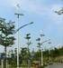 Wind-Solar Hybrid Street Lighting System