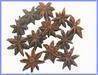 Offer to sell star aniseed