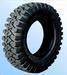 Light truck tyre, tire