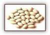 Ethiopian White Pea beans (Phaseolus vulgaris L.) 