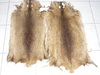 Nutria skins, real fur