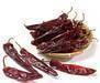 Chilli and chilli pruducts supply