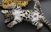 Ocelot, Bengal Tiger and Cheetah Cubs