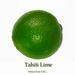 Tahiti Lime