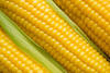 White maize and yellow maize