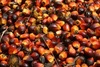 Sun Flower Oil, Corn Oil, Corn, Beans, Soyabeans, Casweh Nut, Peanut