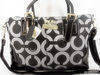 2009 Newest Coach handbags supply