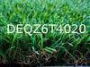 Artificial Grass