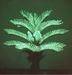 LED betel palm tree lamp