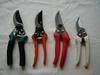 Pruning Shears