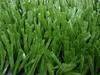 Artificial turf/grsss/lawn