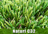 Landscape Grass Naturf C32