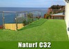 Landscape Grass Naturf C32