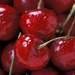 Cherry distillate (spirit) 75%vol in bulk
