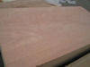 Plywood/film-faced plywood/shuttering plywood