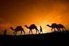 Marakech To Marrakech, Camel Trekking in sahara, www. sahara-magic. com