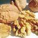 Betel nuts, Apricot kernnels, Walnuts, Pistachio nuts, Pine nuts, Pec