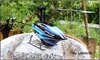 2.4G 6ch rc helicopter with led screen, mini helicopter flybarless sy