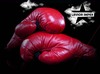 Boxing GLOVES Leather Gel Tech UFC Grappling MMA Gloves Fight Boxing P